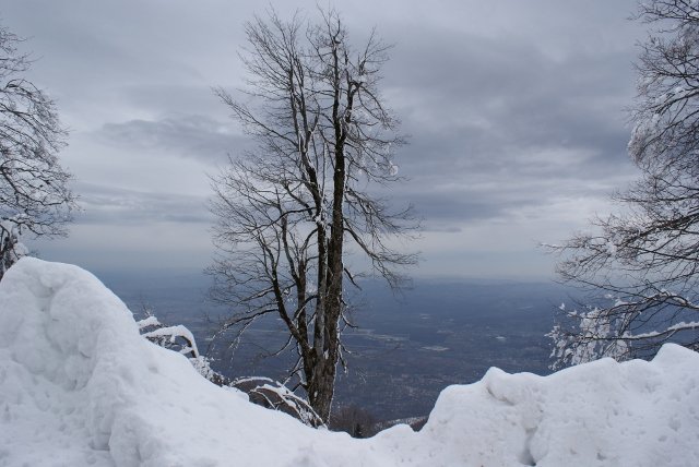 DSC05476 (640x428).jpg