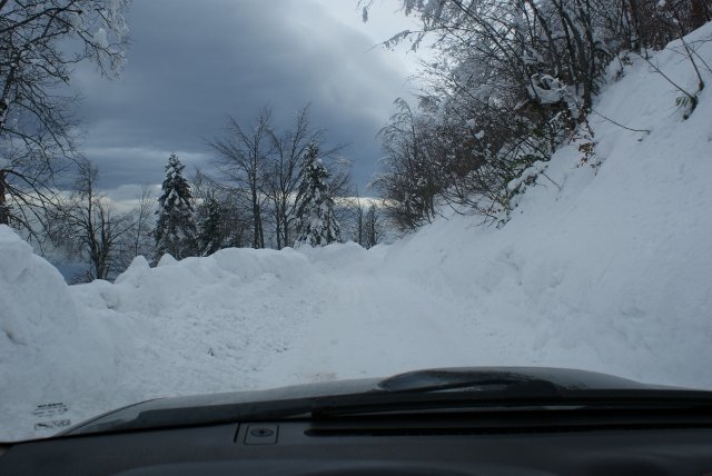 DSC05479 (640x428).jpg