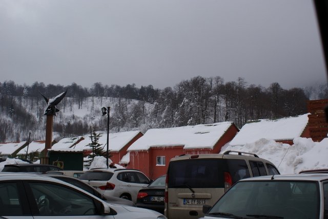 DSC05484 (640x428).jpg