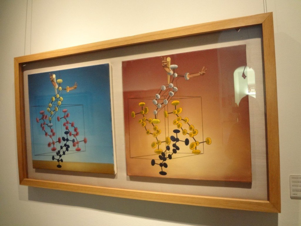 DSC05505 (Large).JPG