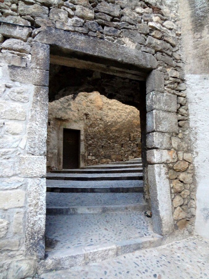 DSC05649 (Large).JPG