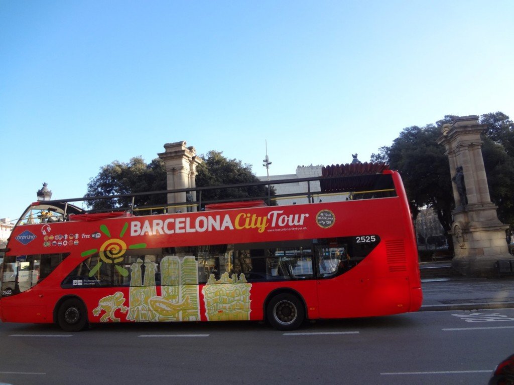 DSC05708 (Large).JPG