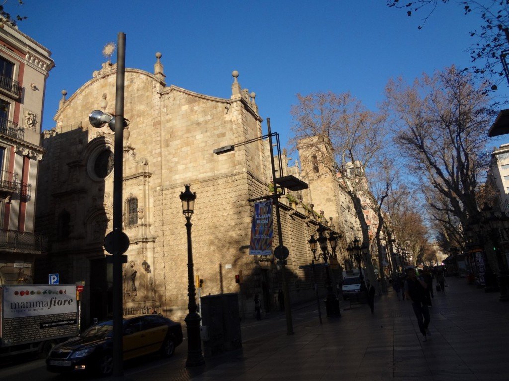 DSC05722 (Large).JPG