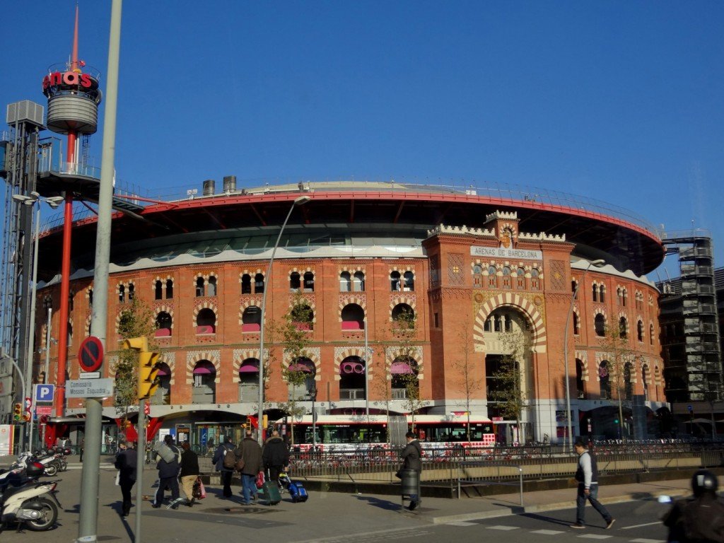 DSC05755 (Large).JPG