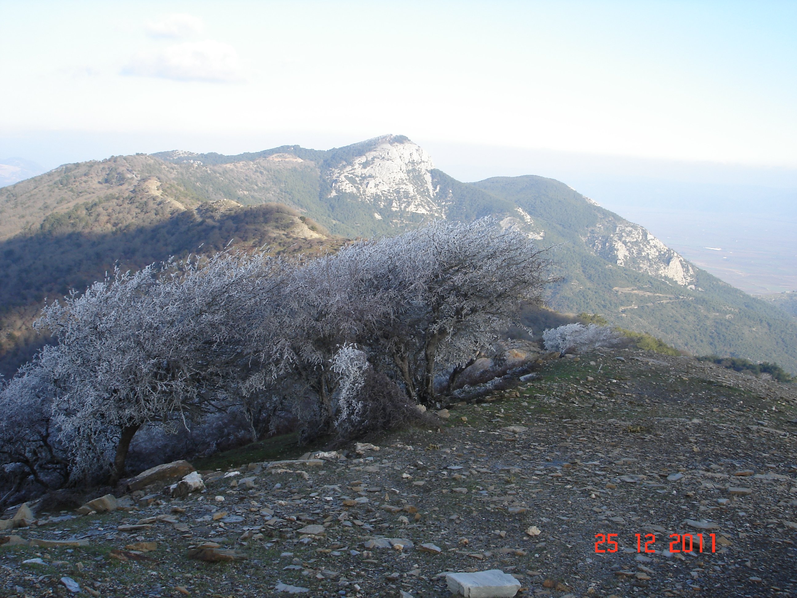 DSC06249.jpg