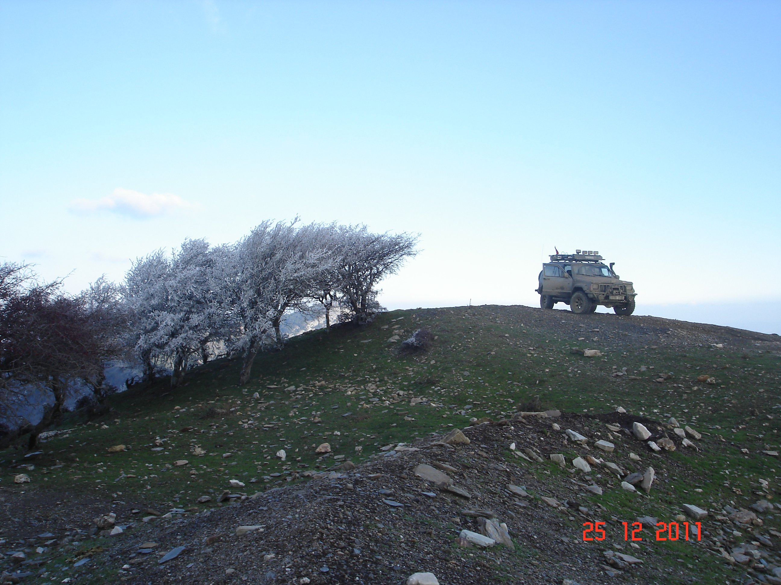 DSC06266.jpg