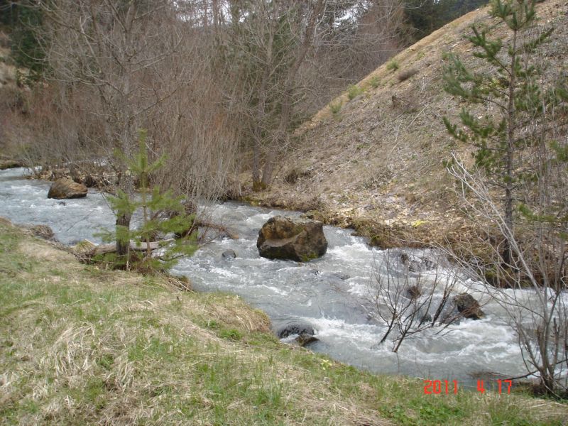 DSC06337.jpg