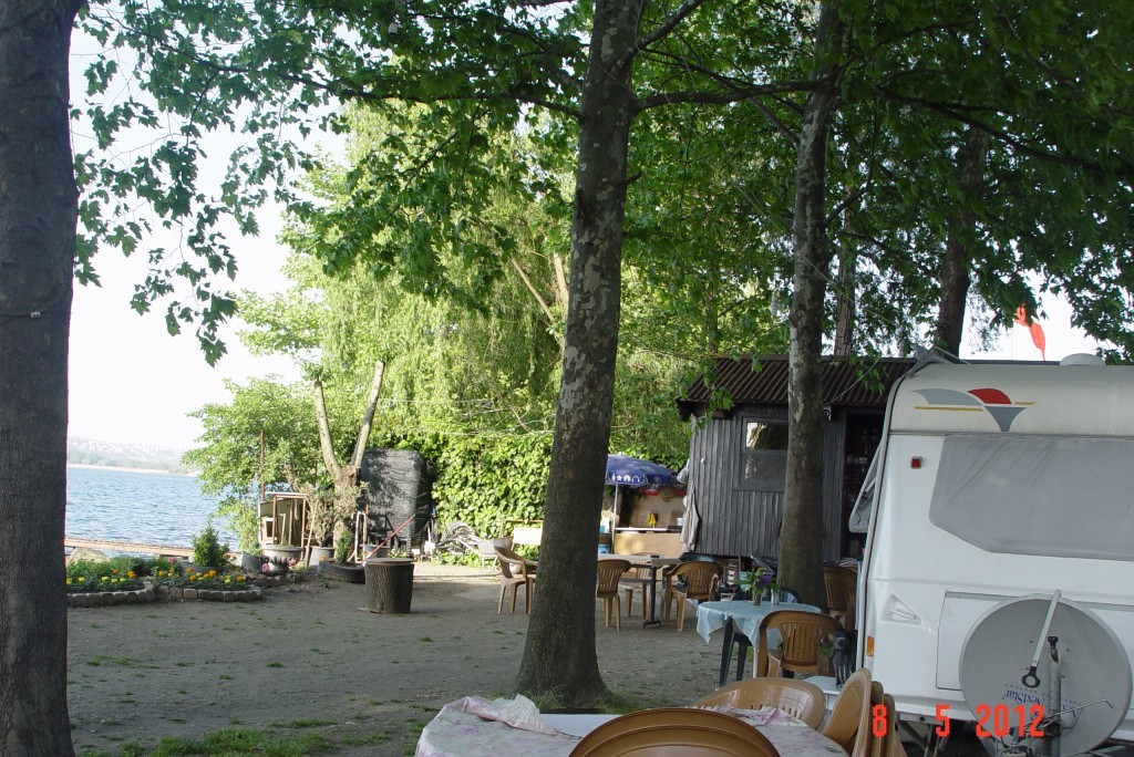 DSC06923.jpg DSC06923.jpg