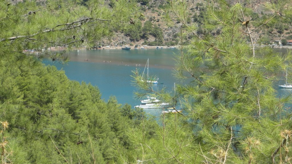 DSC08384.JPG DSC08384.JPG