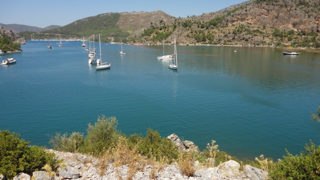 DSC08385.JPG DSC08385.JPG