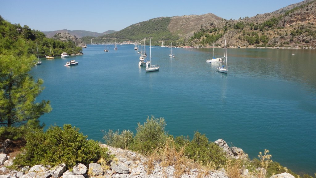 DSC08386.JPG DSC08386.JPG