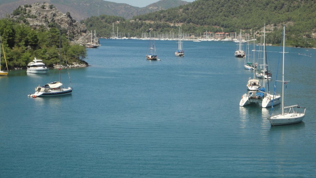 DSC08388.JPG DSC08388.JPG