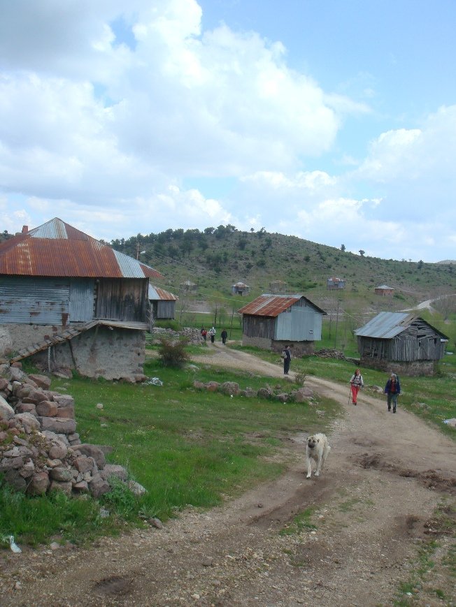 DSC08730.JPG