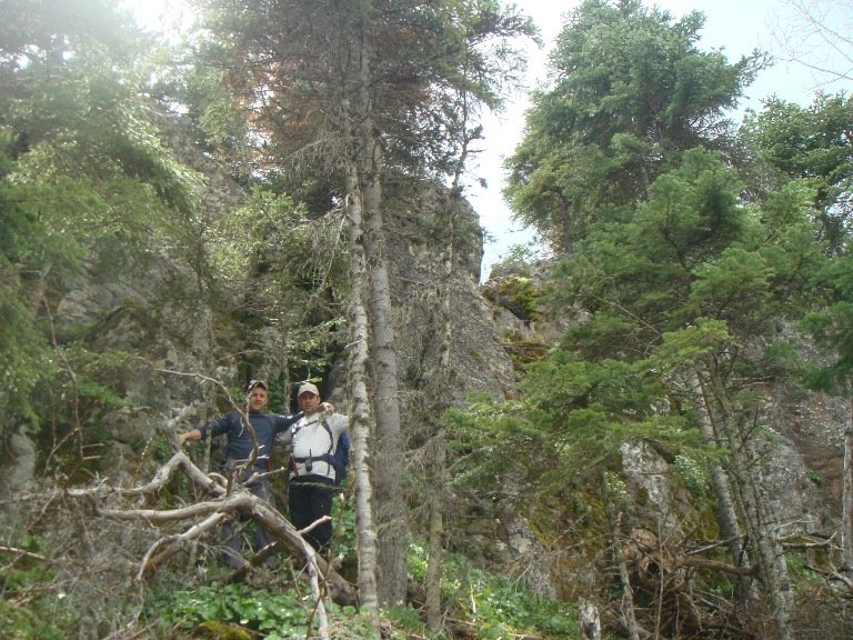 DSC08742.JPG