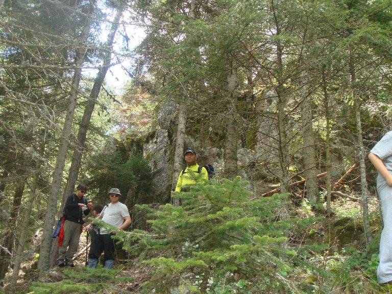 DSC08743.JPG