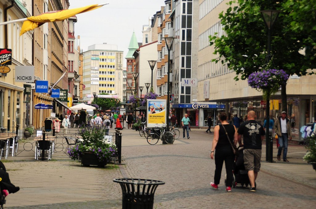 DSC_0010 (2)-001.JPG