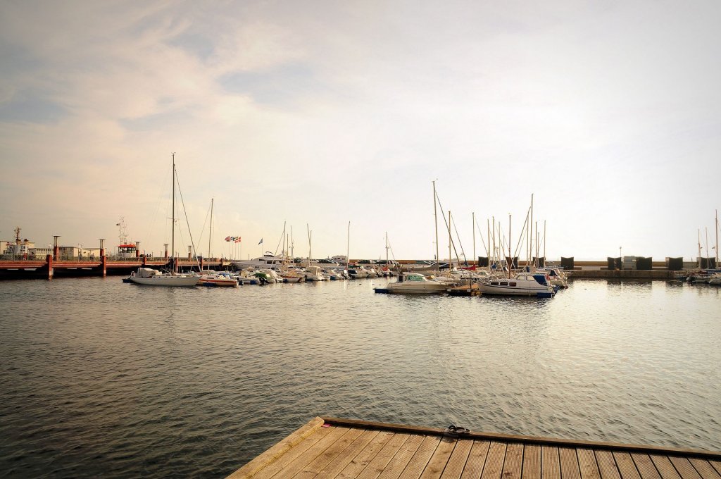 DSC_0010 (3)-001.JPG