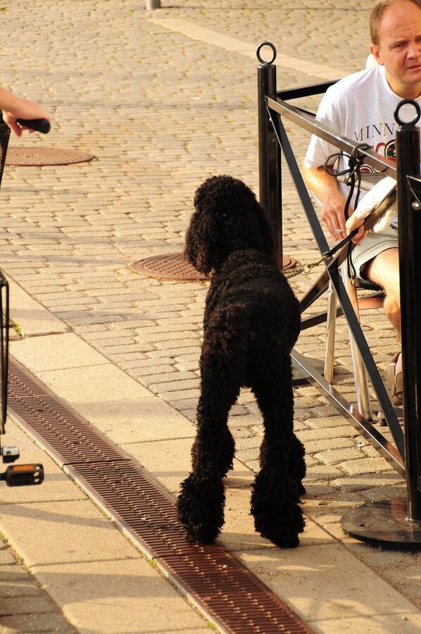 DSC_0012 (2)-001.JPG