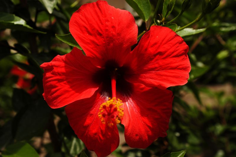 DSC_0018.jpg