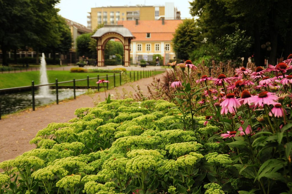 DSC_0029 (2)-001.JPG