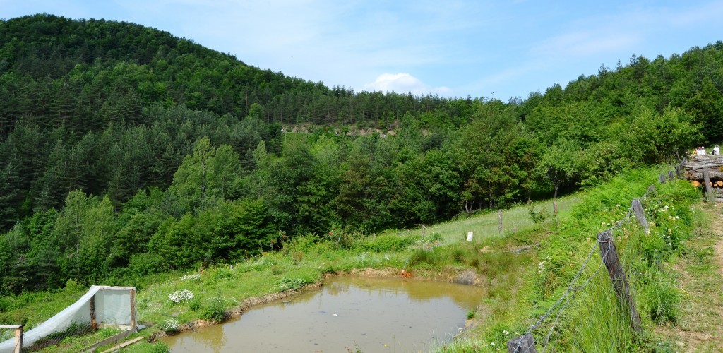 DSC_0046.JPG