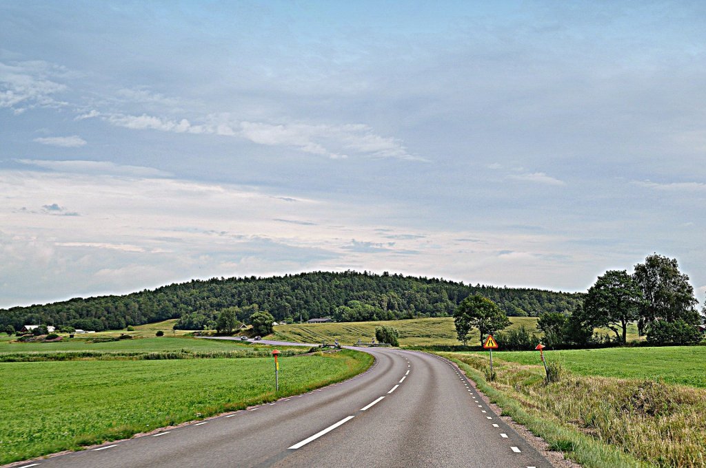 DSC_0069 (2)-001.JPG