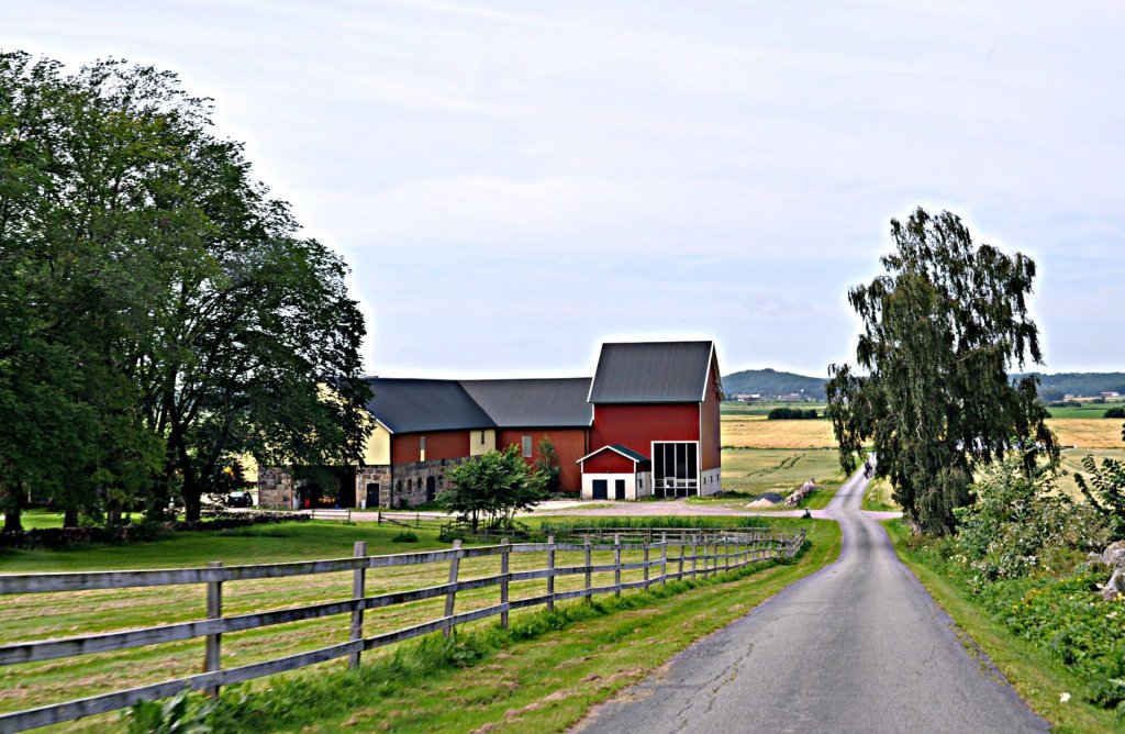 DSC_0085 (2)-001.JPG