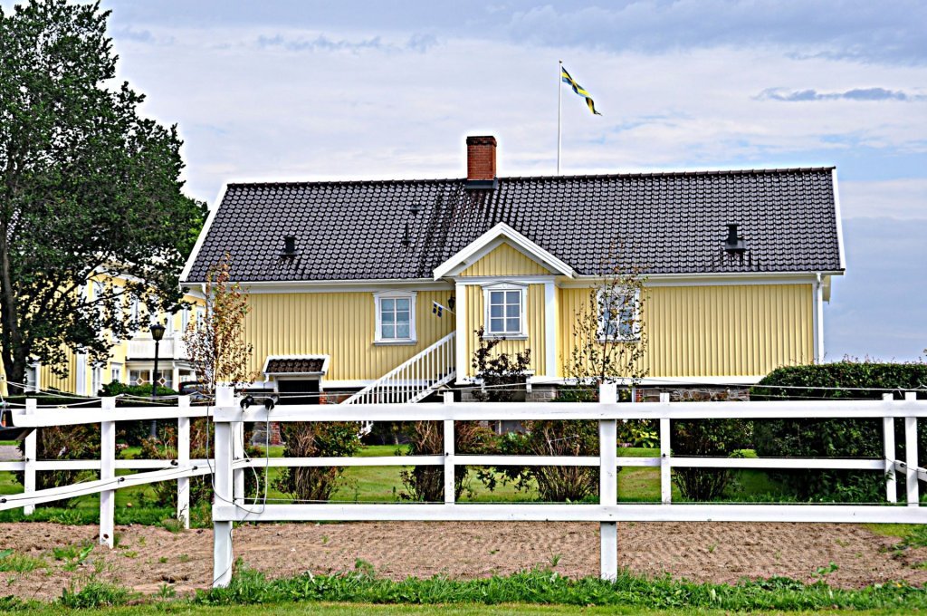 DSC_0092 (2)-001.JPG