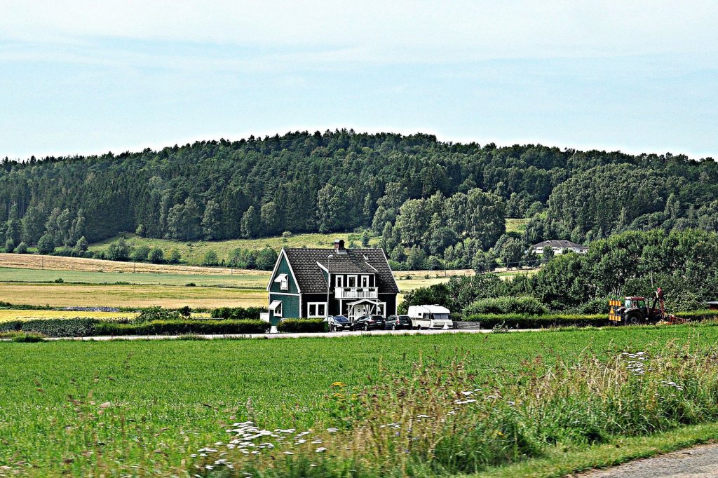 DSC_0094 (2)-001.JPG