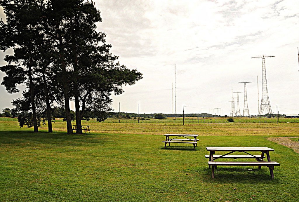 DSC_0101 (2)-001.JPG