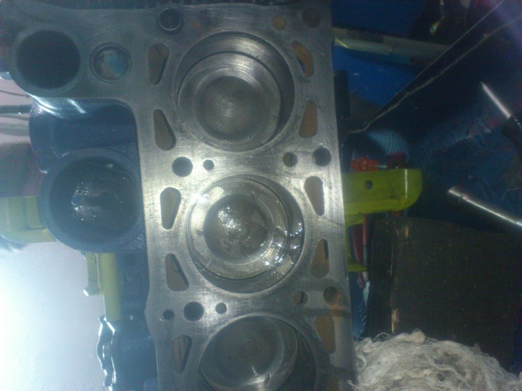 DSC_0124.JPG