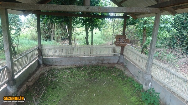 DSC_0147.JPG DSC_0147.JPG