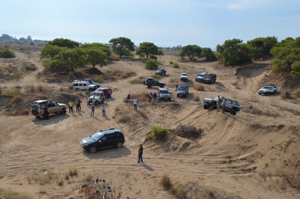 DSC_0148 (600 x 399).jpg