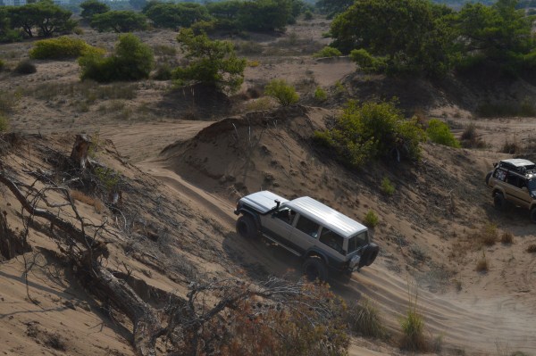 DSC_0154 (600 x 399).jpg