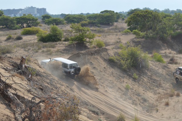 DSC_0157 (600 x 399).jpg