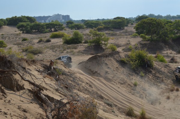 DSC_0158 (600 x 399).jpg