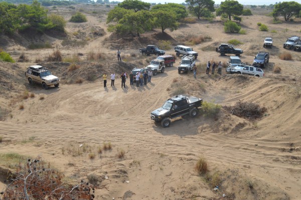 DSC_0159 (600 x 399).jpg