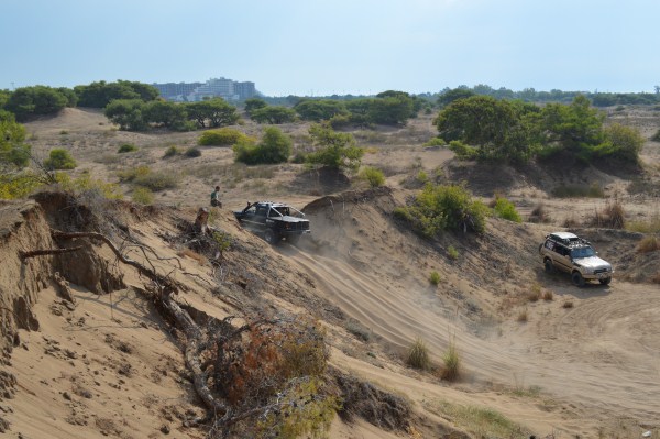 DSC_0161 (600 x 399).jpg