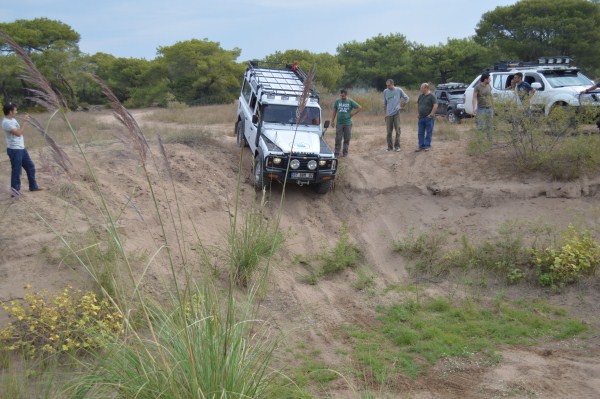 DSC_0170 (600 x 399).jpg