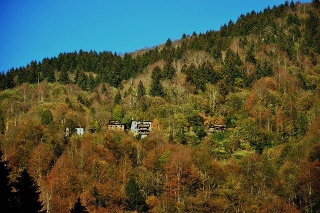 DSC_0174.jpg
