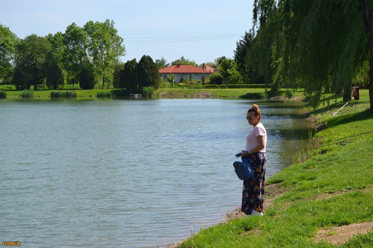 DSC_0175.JPG