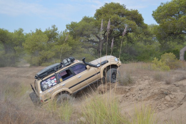 DSC_0176 (600 x 399).jpg