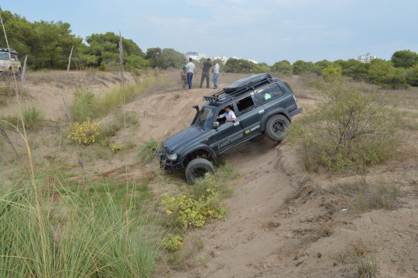 DSC_0190 (600 x 399).jpg