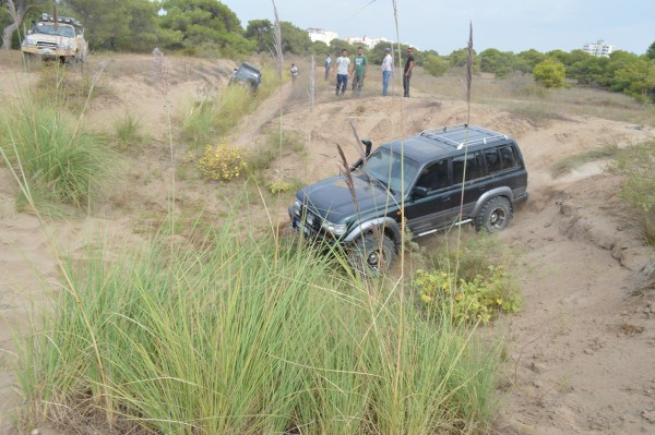 DSC_0193 (600 x 399).jpg