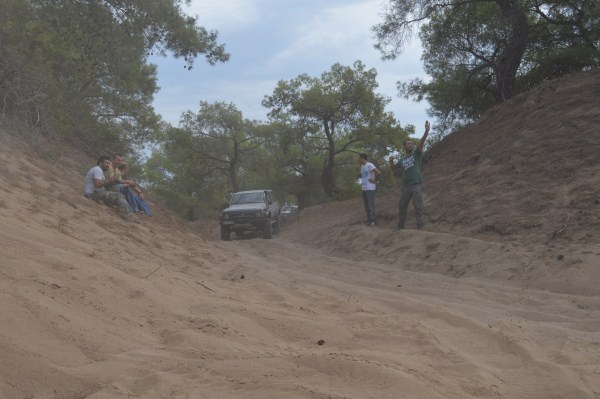 DSC_0200 (600 x 399).jpg