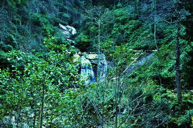 DSC_0202.jpg