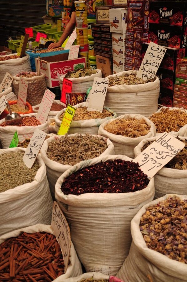 DSC_0202 - Kopya.JPG