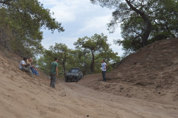 DSC_0203 (600 x 399).jpg