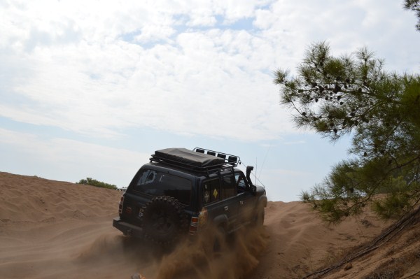 DSC_0205 (600 x 399).jpg