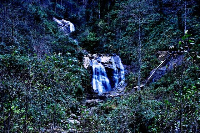 DSC_0206.jpg